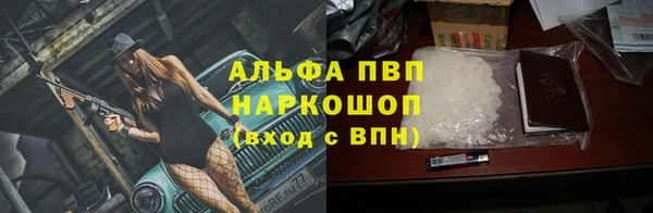 спайс Вяземский