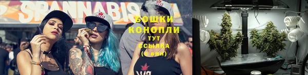 молекула духа Тихвин