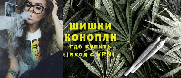 спайс Вяземский