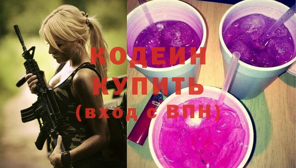 соль ск Тайга